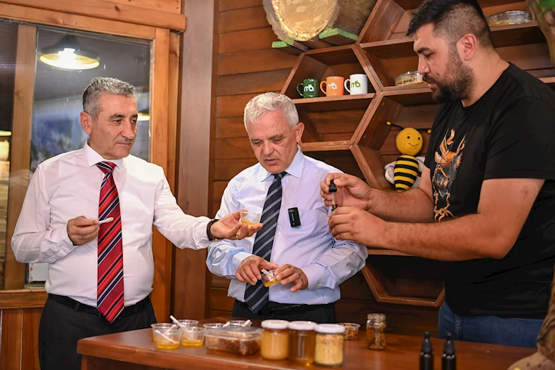 Gökçeyurt’ta Bal Hasadı ve Ankara’nın Bal Üretimindeki Rolü