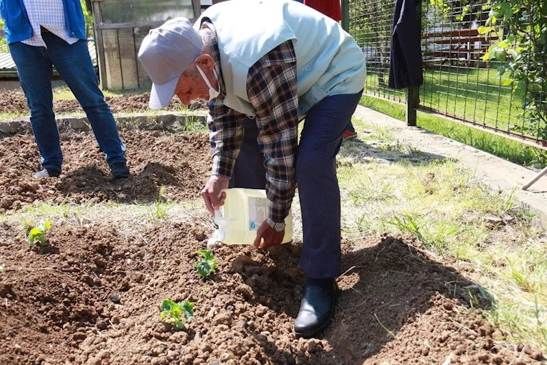 HALK BOSTANLARININ SAYISI ARTACAK