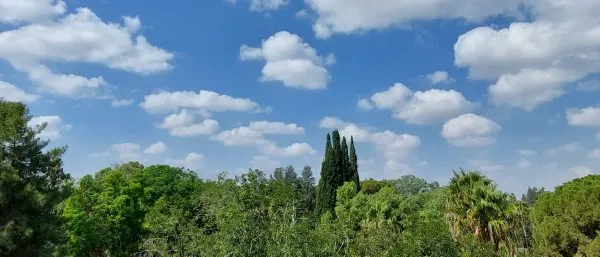 YURTTA HAVA DURUMU
