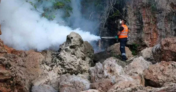 ANTALYA’DA VATANDAŞLARIN SİVRİSİNEK İSYANI.. BÜYÜKŞEHİR BU SORUNU ÇÖZEMİYOR
