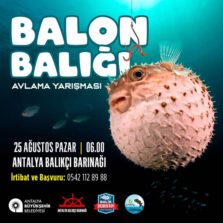 Büyükşehir Belediyesi