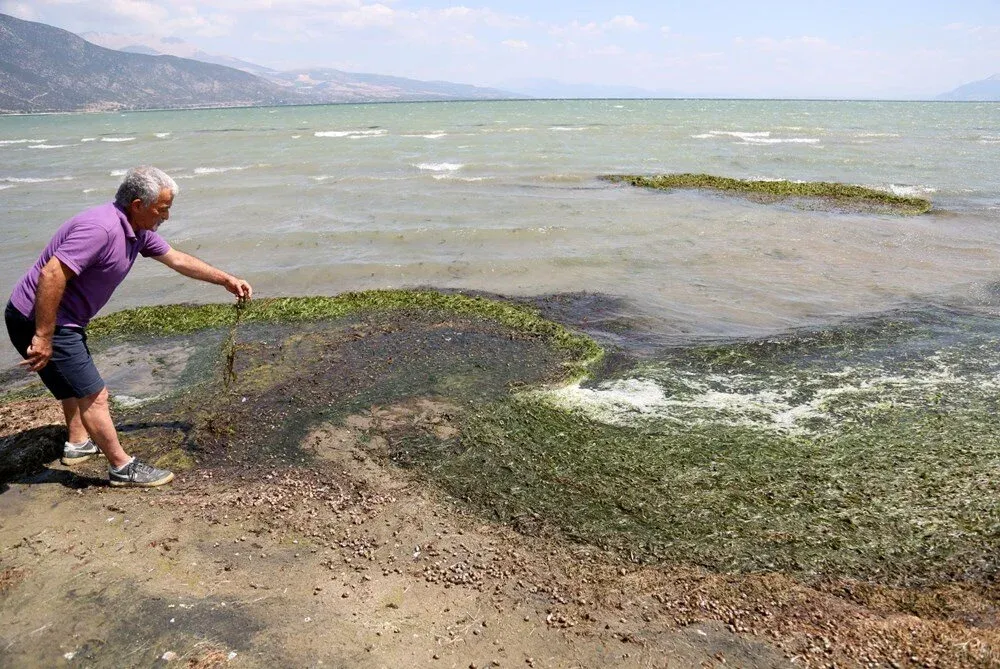 EĞİRDİR GÖLÜ DE ÖLÜYOR.. AŞIRI KİRLİLİK KURAKLIK ALG PATLAMASI VE MÜSİLAJ