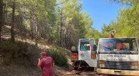 Kepez’de orman yangını felaketi ucuz atlatıldı