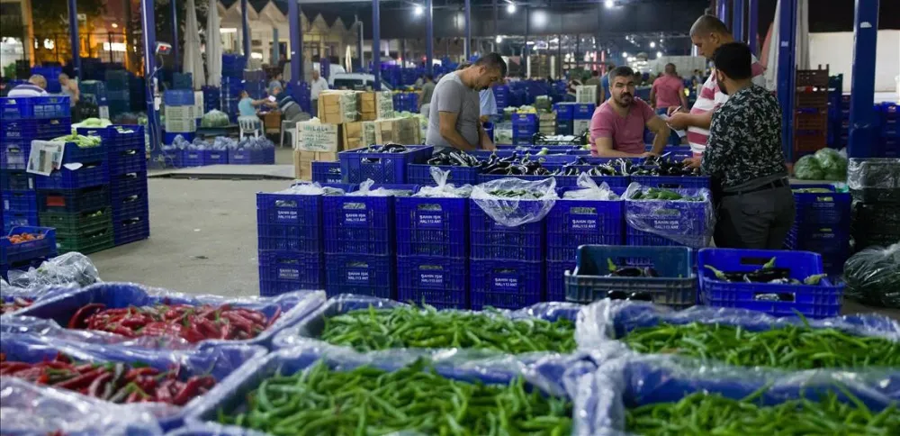 TÜRK SEBZE-MEYVE ÜRÜNLERİ AVRUPALI ZİNCİR MARKETLER İÇİN GÖRÜCÜYE ÇIKIYOR