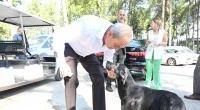 ‘Köpek yakıldı’ iddialarına Başkan Kocagöz son noktayı koydu: