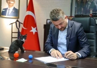 Buca Belediyesi’nden ücretsiz çip takma ve kısırlaştırma uygulaması