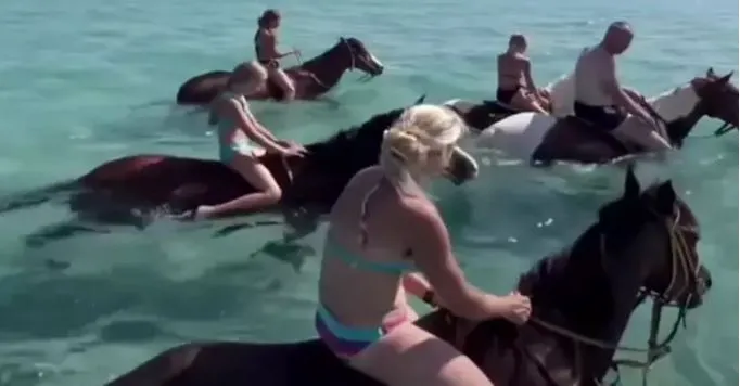 ALANYA’DA DENİZİN İÇİNDE AT TURU YAPTIRIYORLAR.. ‘BU HAYVANA EZİYETTİR’
