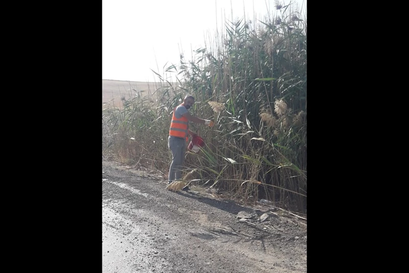 Yenimahalle Belediyesi İlaçlama Çalışmalarına Devam Ediyor