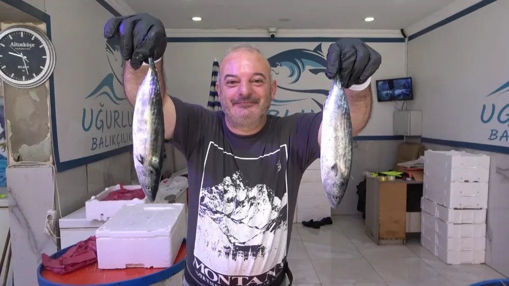 PALAMUT BU SEZON DENİZLERDE VE TEZGAHLARDA KRALLIĞINI İLAN ETTİ