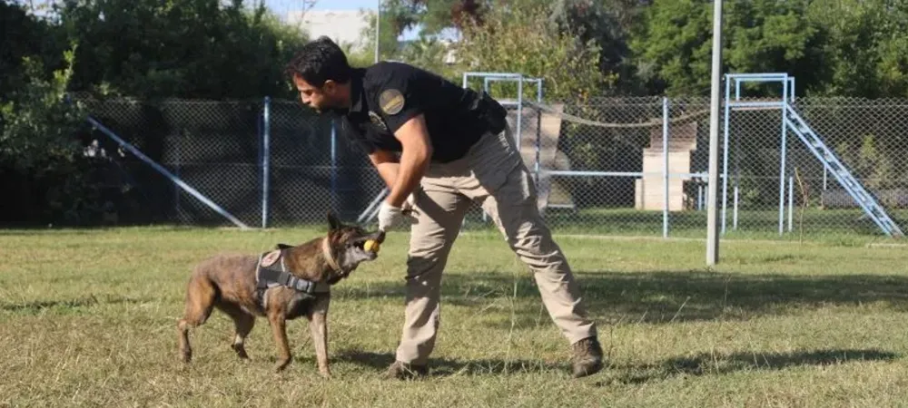 ‘NARKOTİK KÖPEKLERİNE UYUŞTURUCU VERİLİYOR’ İDDİALARINA YANIT.. ‘KESİNLİKLE HAYIR’