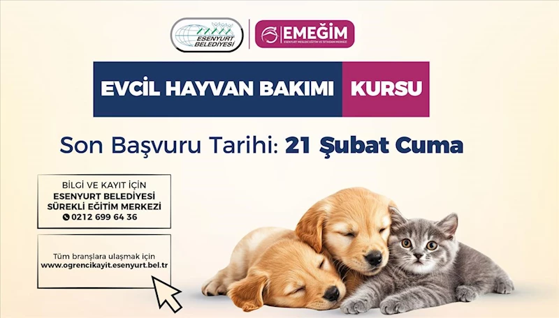 Evcil Hayvan Bakımı Kursu