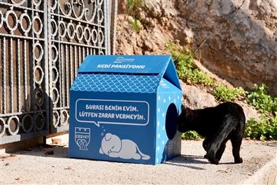 Çeşme Belediyesi’nden sokaktaki minik patilere sıcak bir yuva!