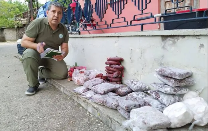 YABAN KEÇİSİ VE KIZIL GEYİK.. ANTALYA