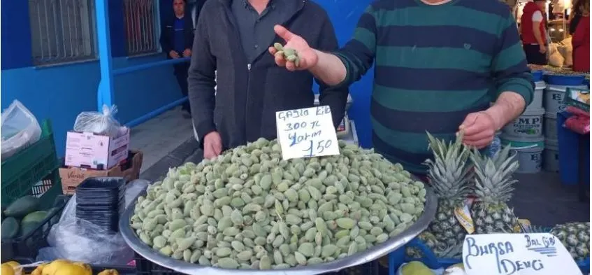 ANTALYA’DA ÇAĞLA ZAMANI.. KİLOSU 300 LİRADAN TEZGAHLARDA