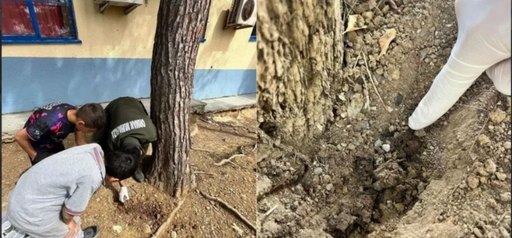MANAVGAT’TA TERMİNATÖR BÖ CEKLER DOĞAYA SALINDI