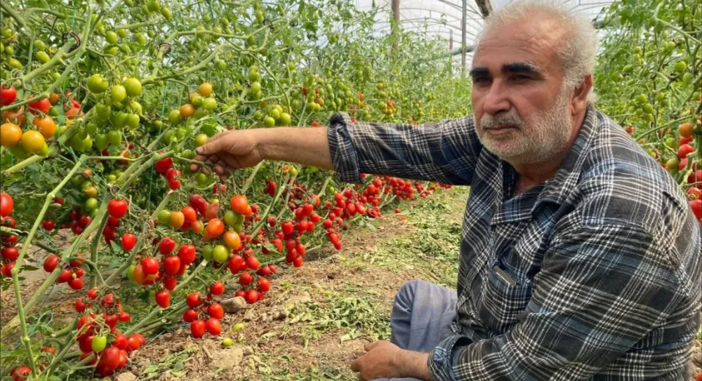 ANTALYA’DA ÜRETİCİDEN FİYAT FARKINA TEPKİ.. ‘ARADAKİ FARKI KİM YİYOR’