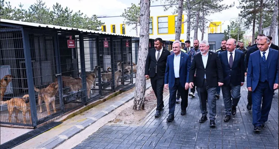 İÇİŞLERİ HAREKETE GEÇTİ.. SOKAK HAYVANLARINA 51 İLDE DOĞAL YAŞAM ALANI