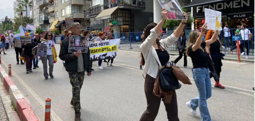 ANTALYA’DA HAYVANSEVERLER SOKAK HAYVANLARI İÇİN YÜRÜDÜ