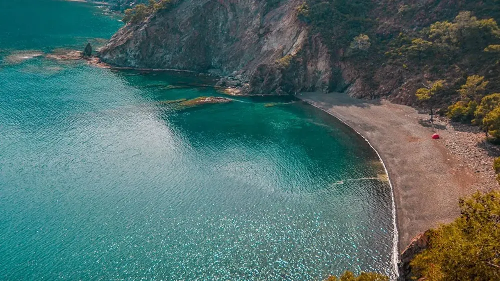 ANTALYA KIYILARINDA KIZILDENİZ GÖÇMENİ BALIKLARIN İSTİLASI DEVAM EDİYOR