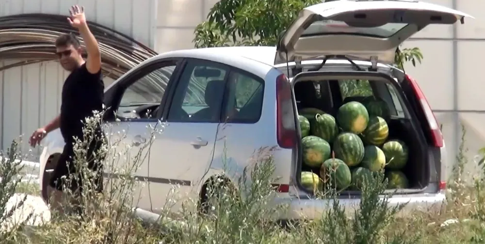ANTALYA MANAVGAT.. KİLOSU 3 LİRAYA SATMADI 100 TON KARPUZU ÜCRETSİZ DAĞITTI