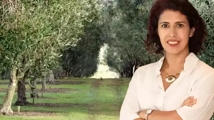 YEKÜD’DEN MADEN YASASI AÇIKLAMASI.. ‘ZEYTİN AĞAÇLARI KESİLMEDEN TAŞINACAK’