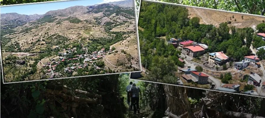 BOZKIRIN ORTASINDA VAHAYI ANDIRIYOR.. YEŞİLLİĞİ İLE DİKKAT ÇEKİYOR