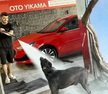 SICAKTAN BUNALAN KÖPEK BÖYLE SERİNLİYOR.. ‘YANINDA BAZEN ARKADAŞINI DA GETİRİYOR’