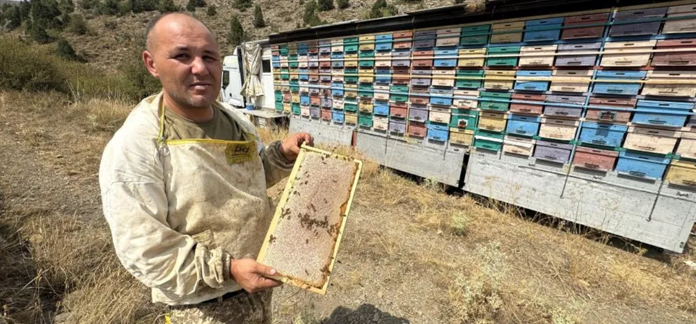 ORGANİK BAL..200 KOVANLI TIR’IYLA TOROS DAĞLARI