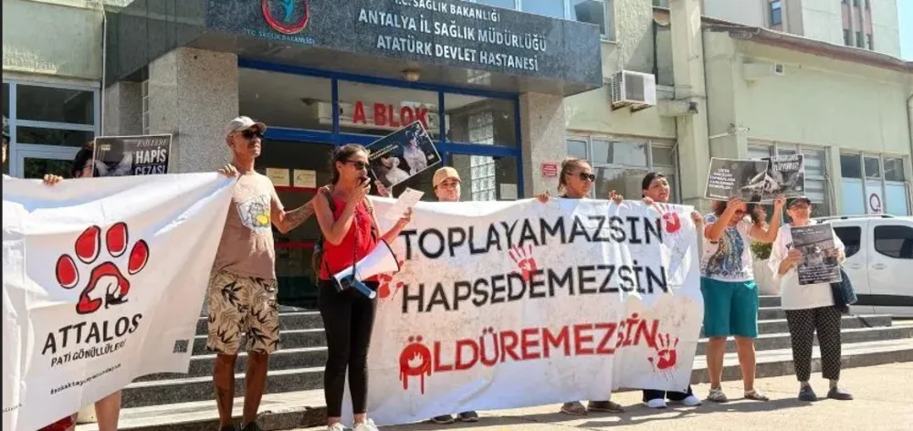 GÖNÜLLÜLERDEN EYLEM.. ‘TOPLADIĞINIZ SOKAK KEDİLERİNİ GERİ GETİRİN’