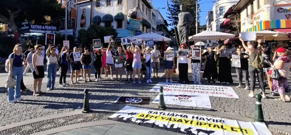 HAYVAN HAKLARI BİRLİK HAREKETİ ANTALYA